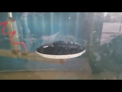 1/6 λεπτός διασκορπιστής δίσκων φυσαλίδων συσκευών εμπλουτισμού σε διοξείδιο του άνθρακα δίσκων μεμβρανών για την κατεργασία ύδατος Dia 90*1000mm